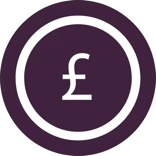 Money Icon